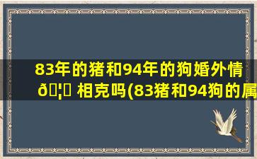 83年的猪和94年的狗婚外情 🦅 相克吗(83猪和94狗的属相合不合婚姻 🐦 女)